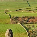 Andy Goldsworthy (UK)